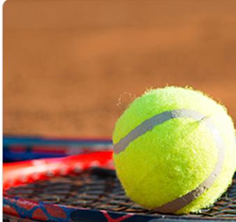 Tennis Ball