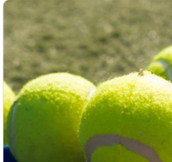 Pet Tennis Ball Durable Felt Outdoor Play Custom Color Pack